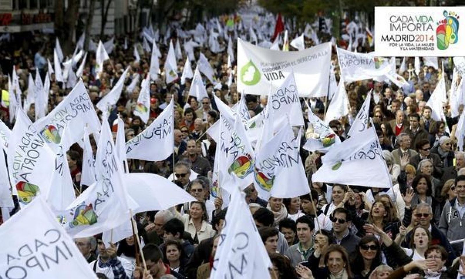 Manifestación promovida por Cada vida importa.