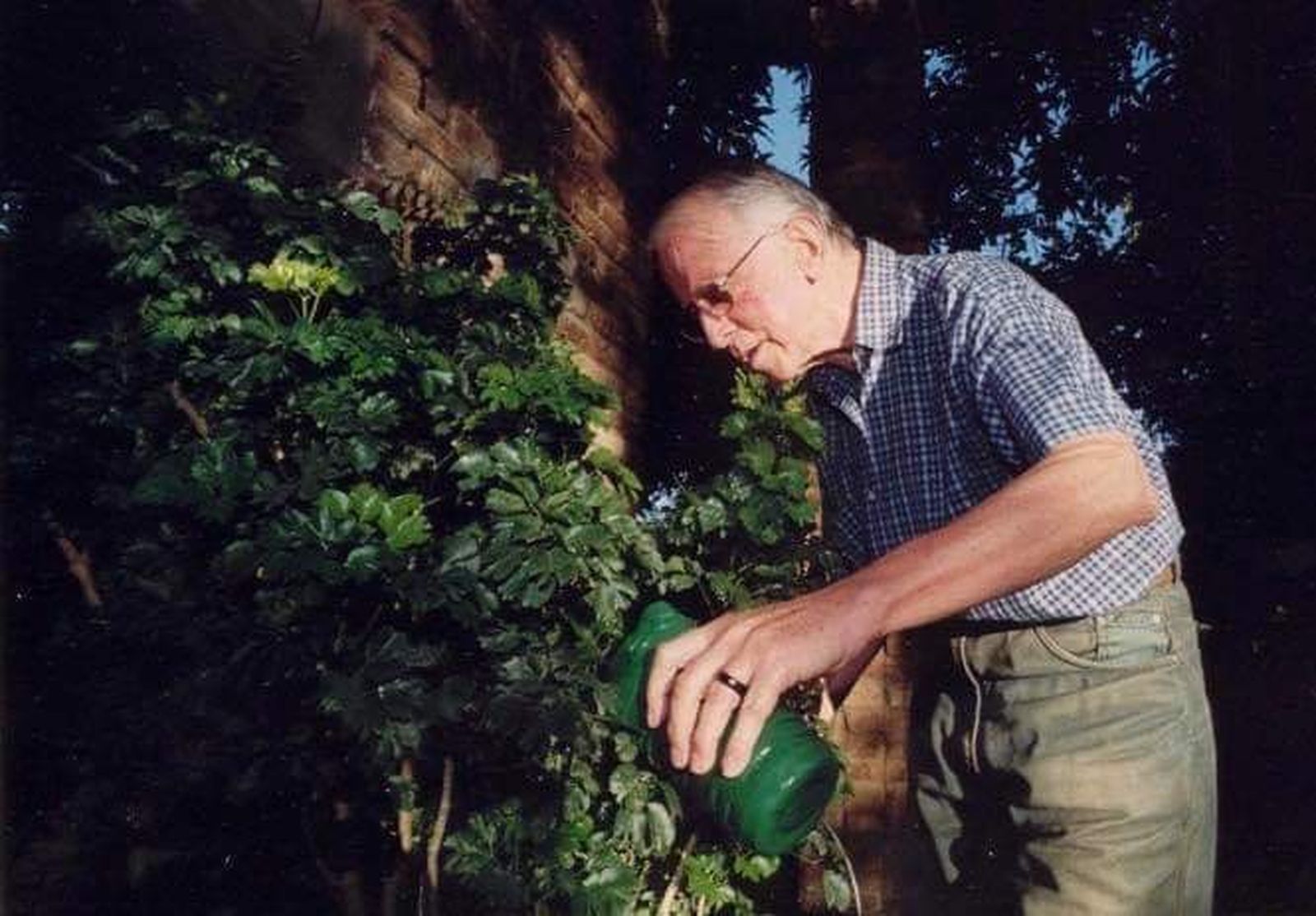 Nuevas actitudes para un nuevo año