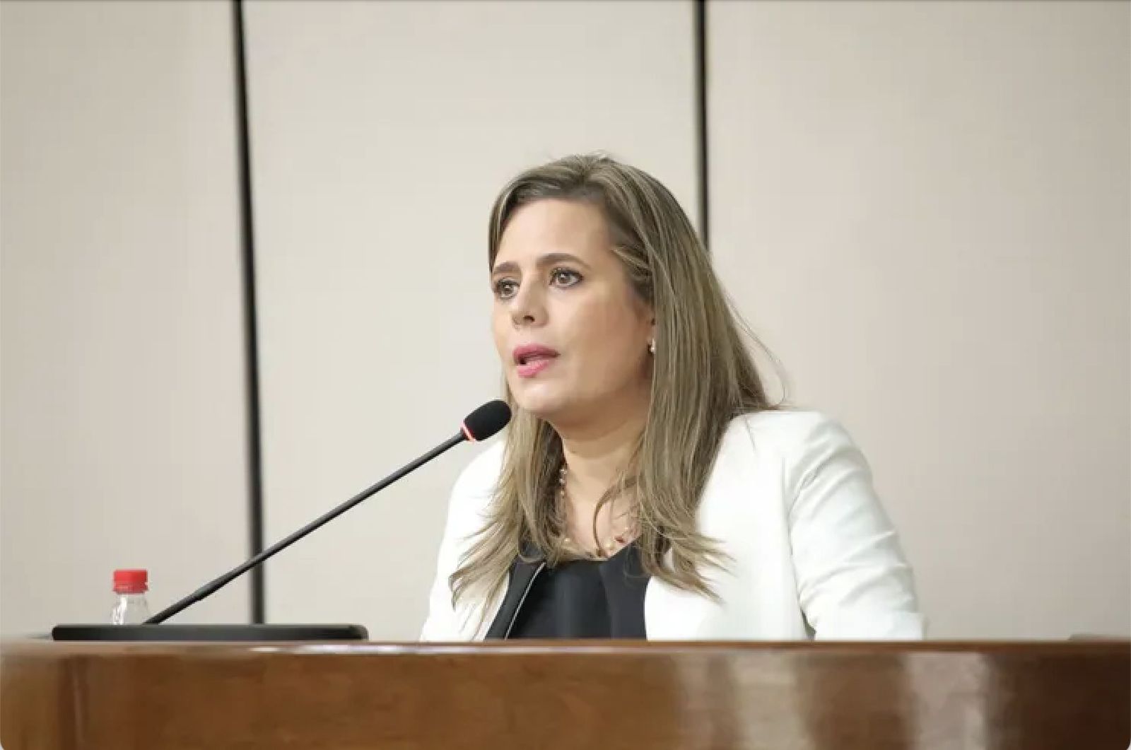La senadora opositora Kattya González