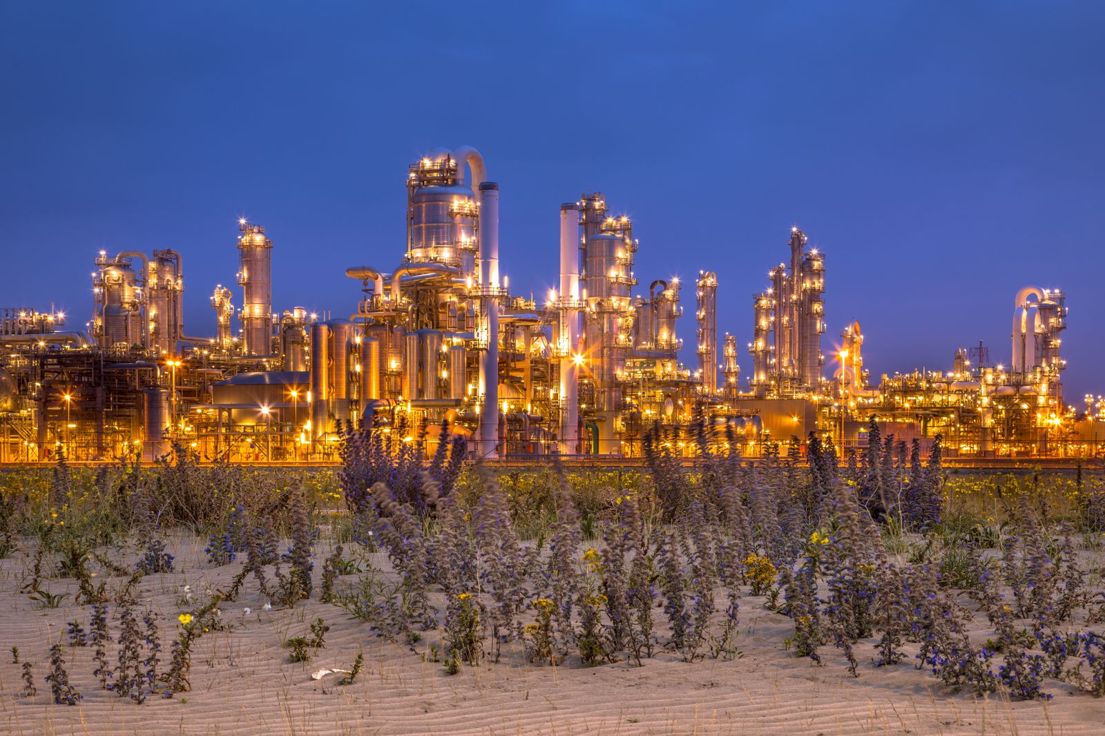 La Iglesia tiene el derecho y la obligación de presentar la visión religiosa sobre la crisis ecológica