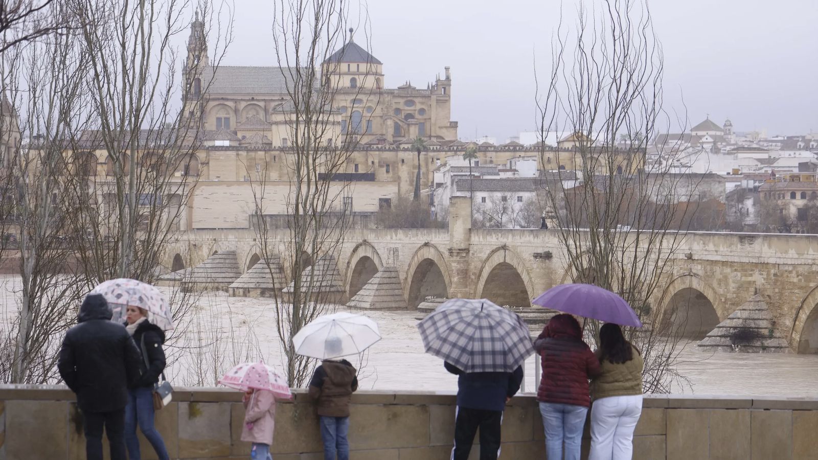 Varias personas observan la histórica crecida del Guadalquivir a su paso por Córdoba