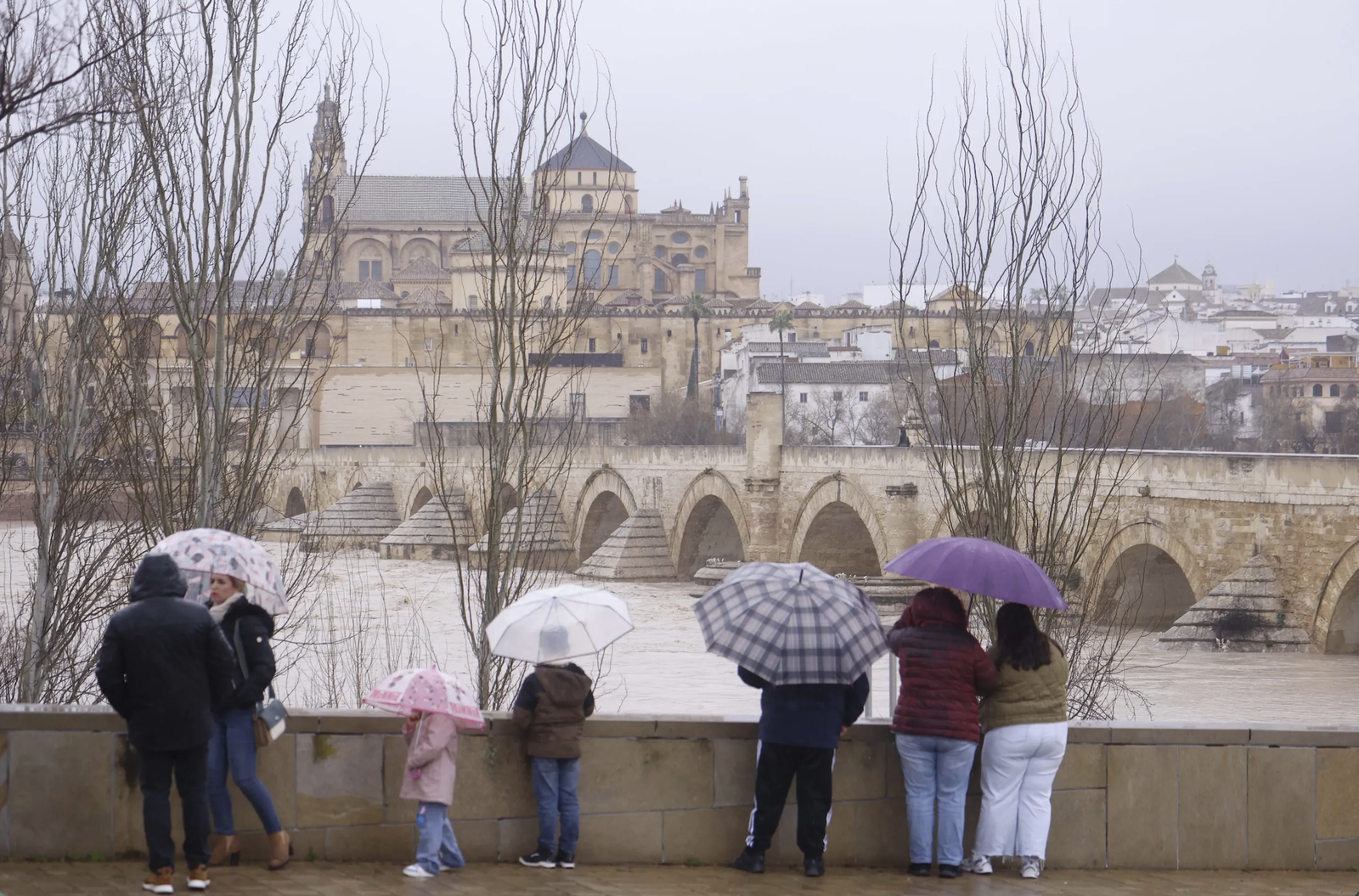 Varias personas observan la histórica crecida del Guadalquivir a su paso por Córdoba