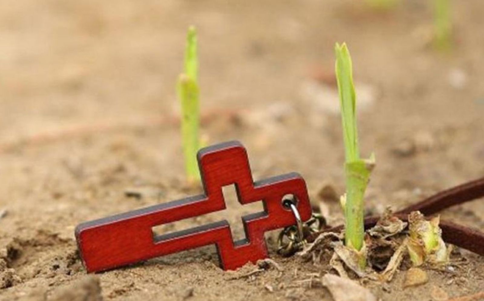 MIsioneros asesinados