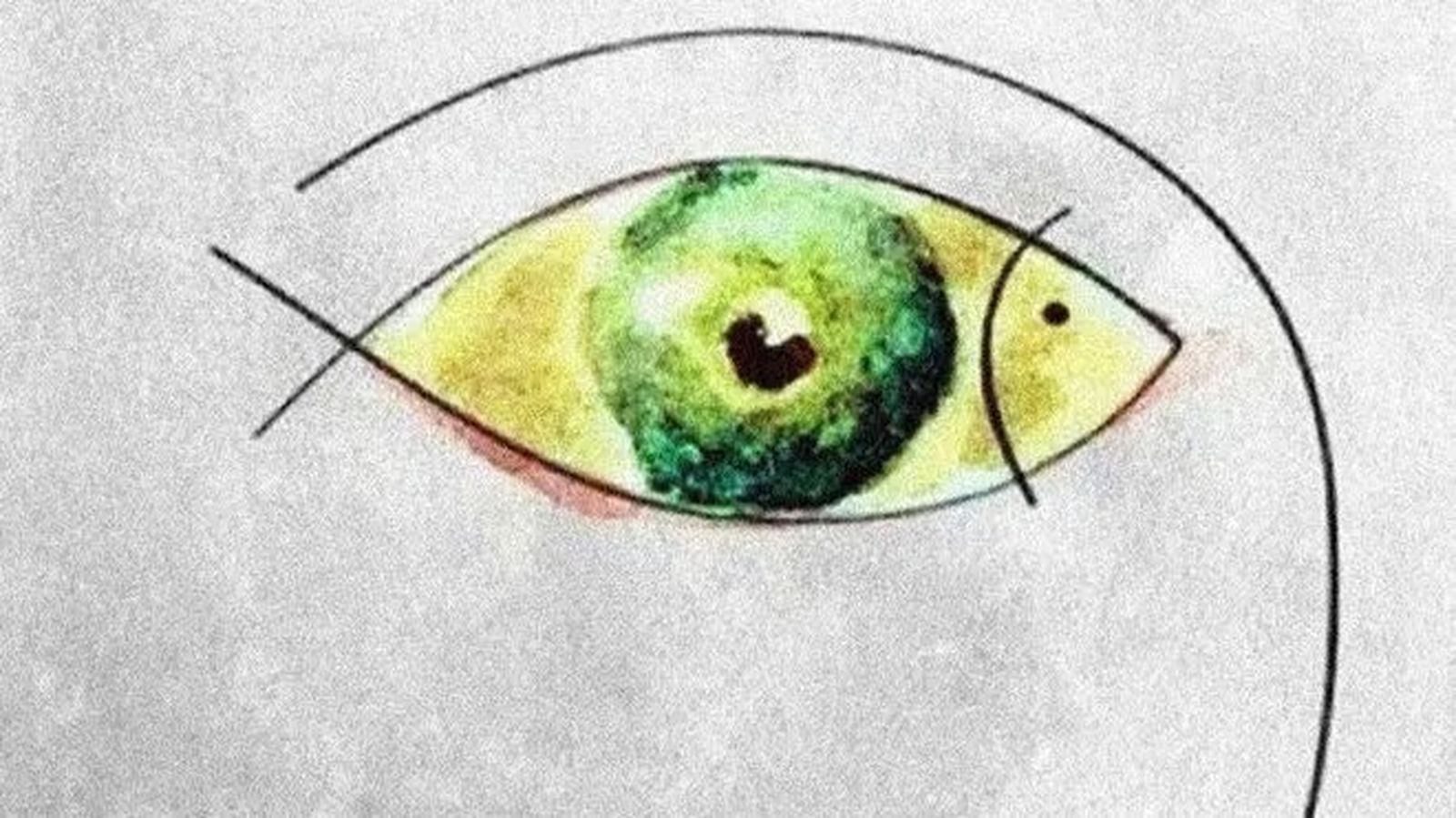 Mirada