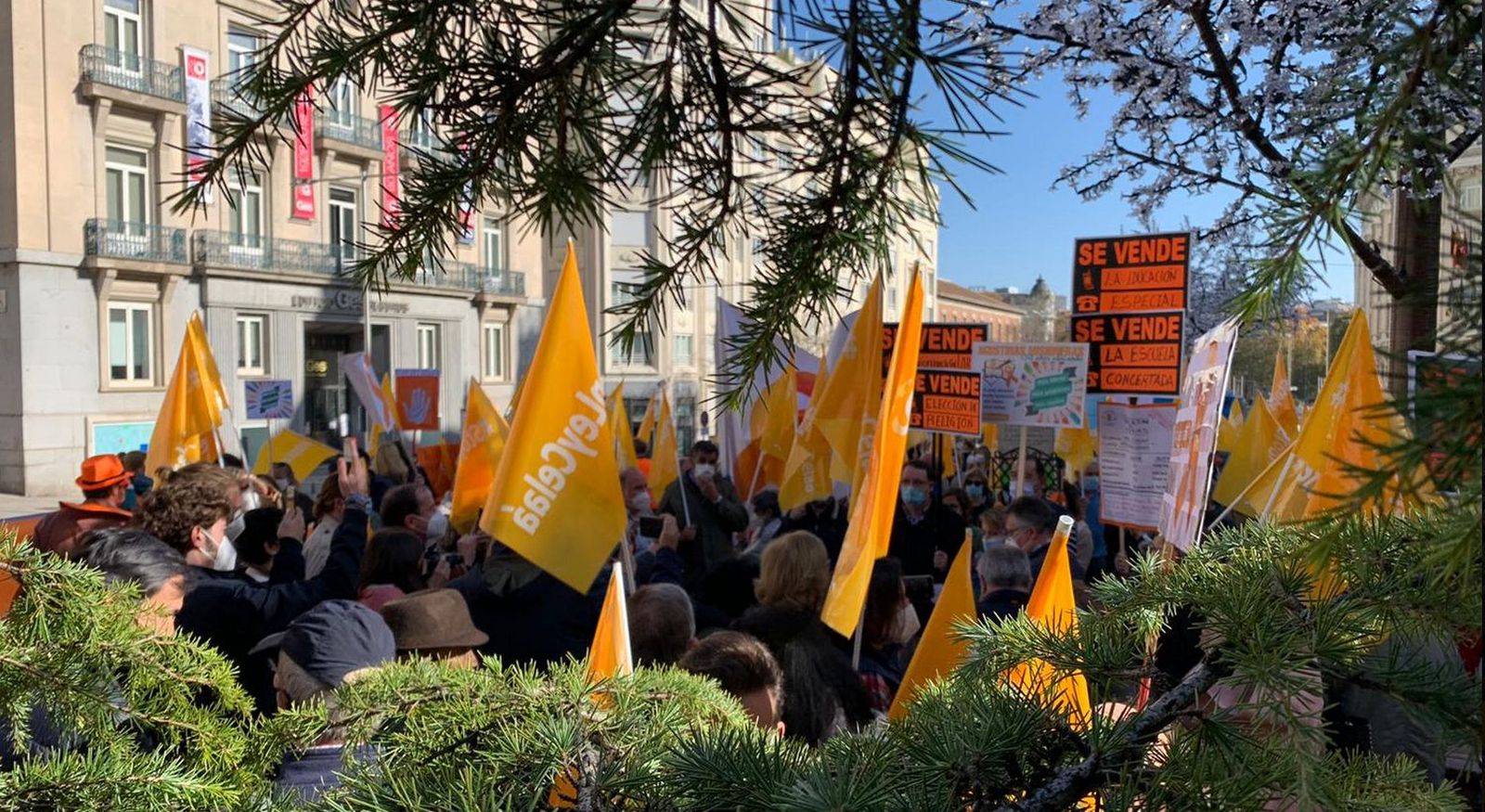 Manifestación de la concertada