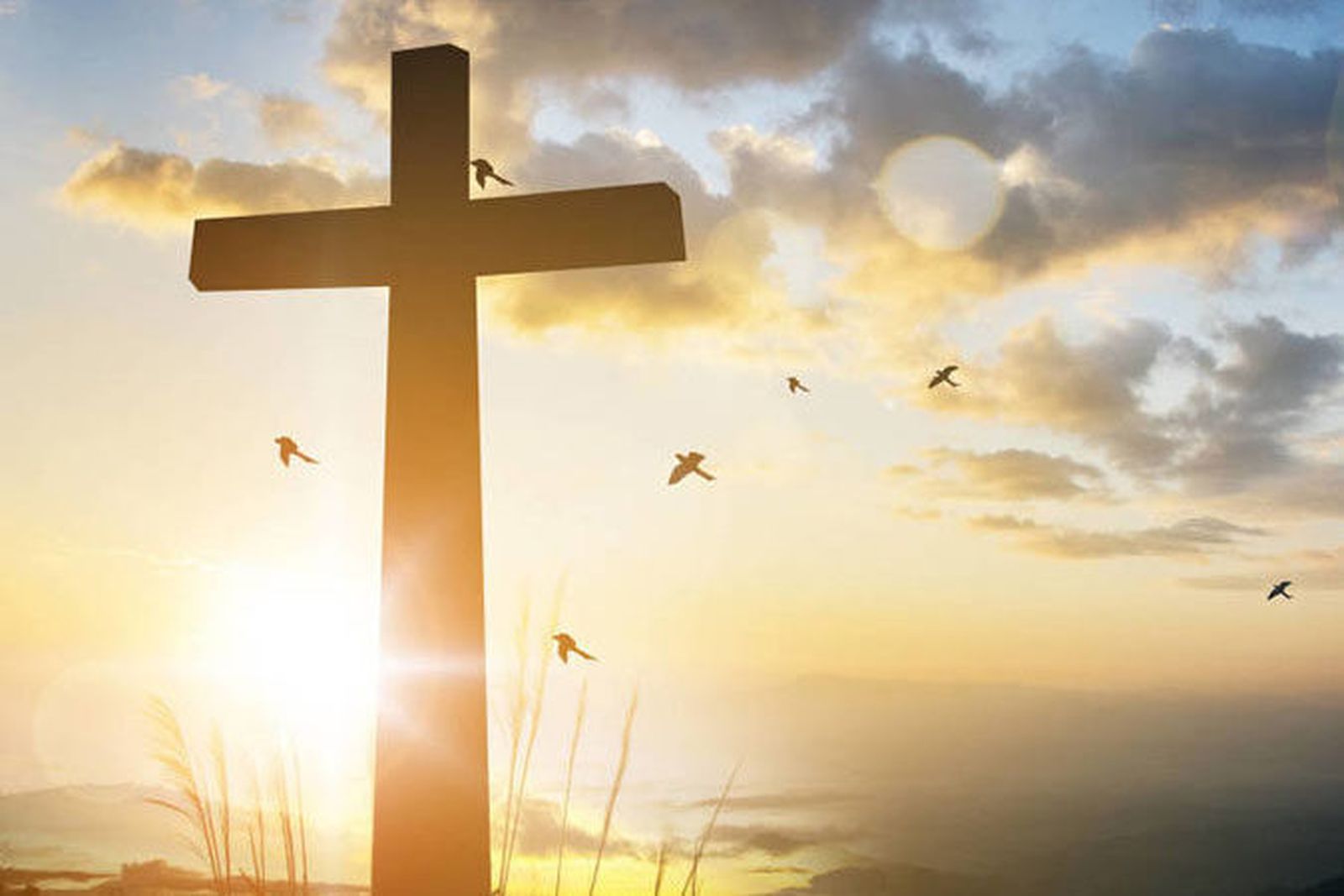 Retos o desafíos del catolicismo