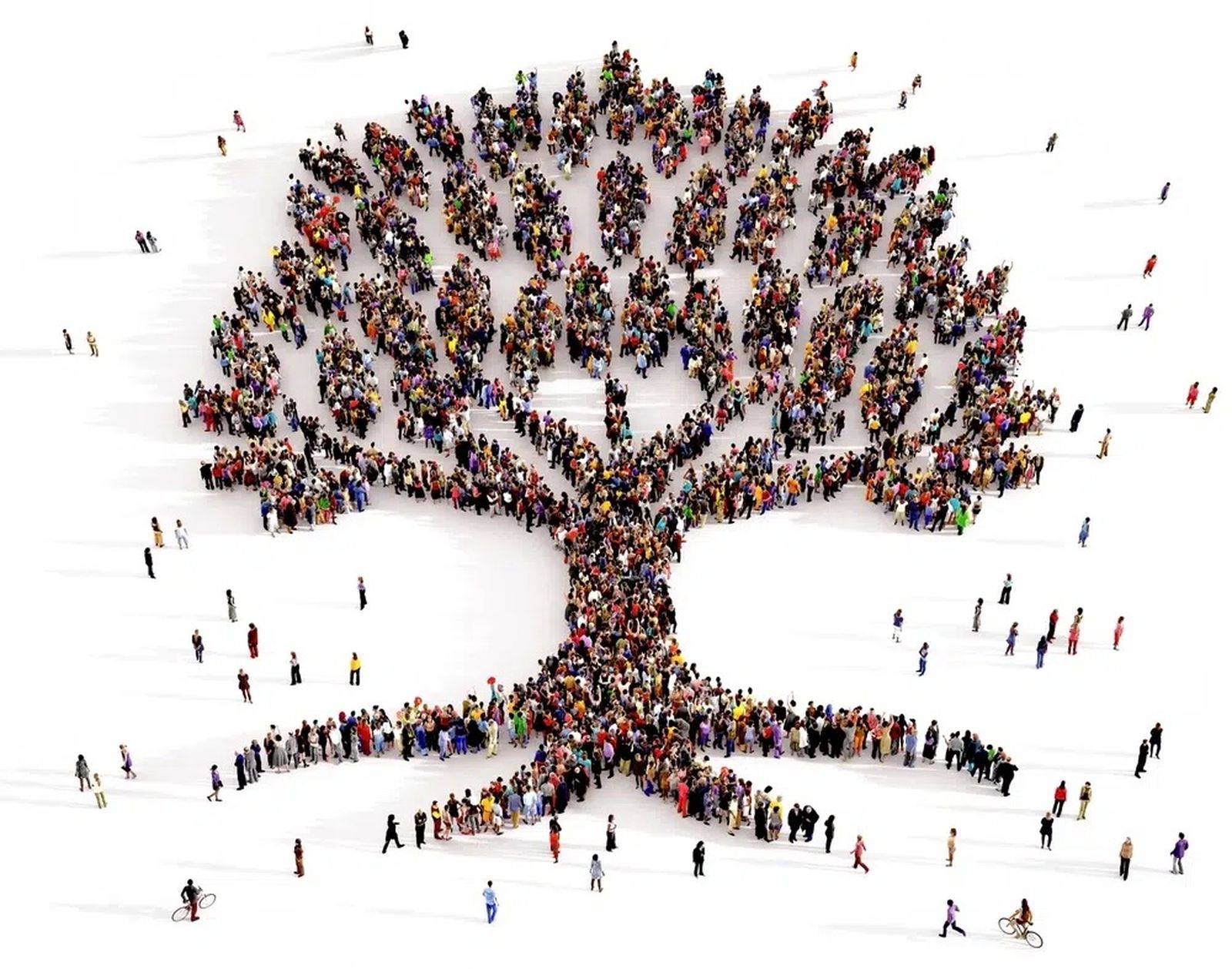 Construir humanidad