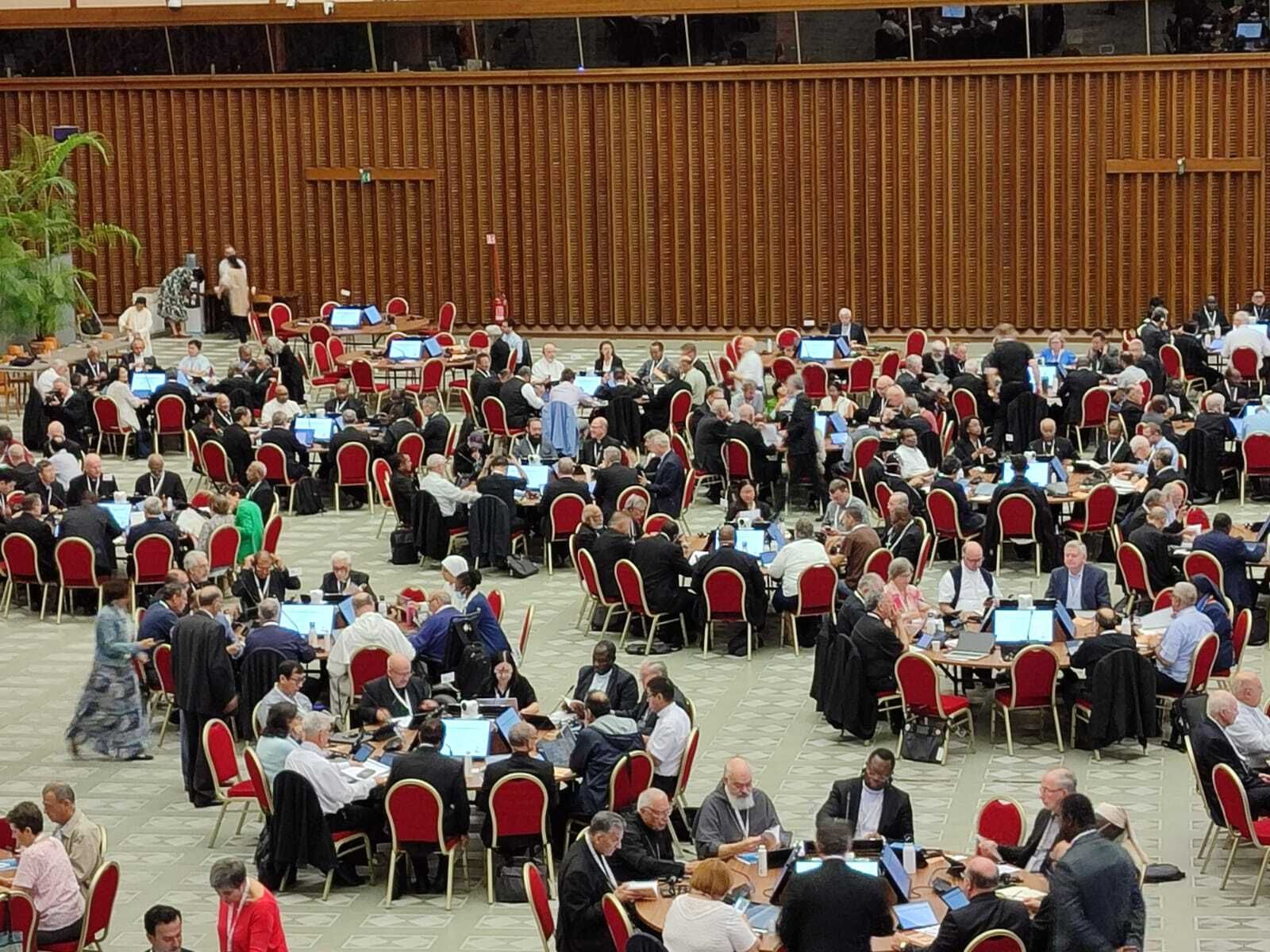 Los sinodales votaron por primera vez