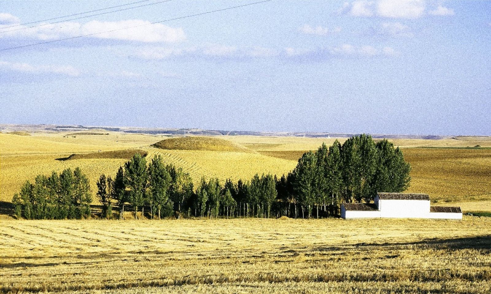 Fig.1 (Paisaje de la Tierra de Campos en Berrueces)