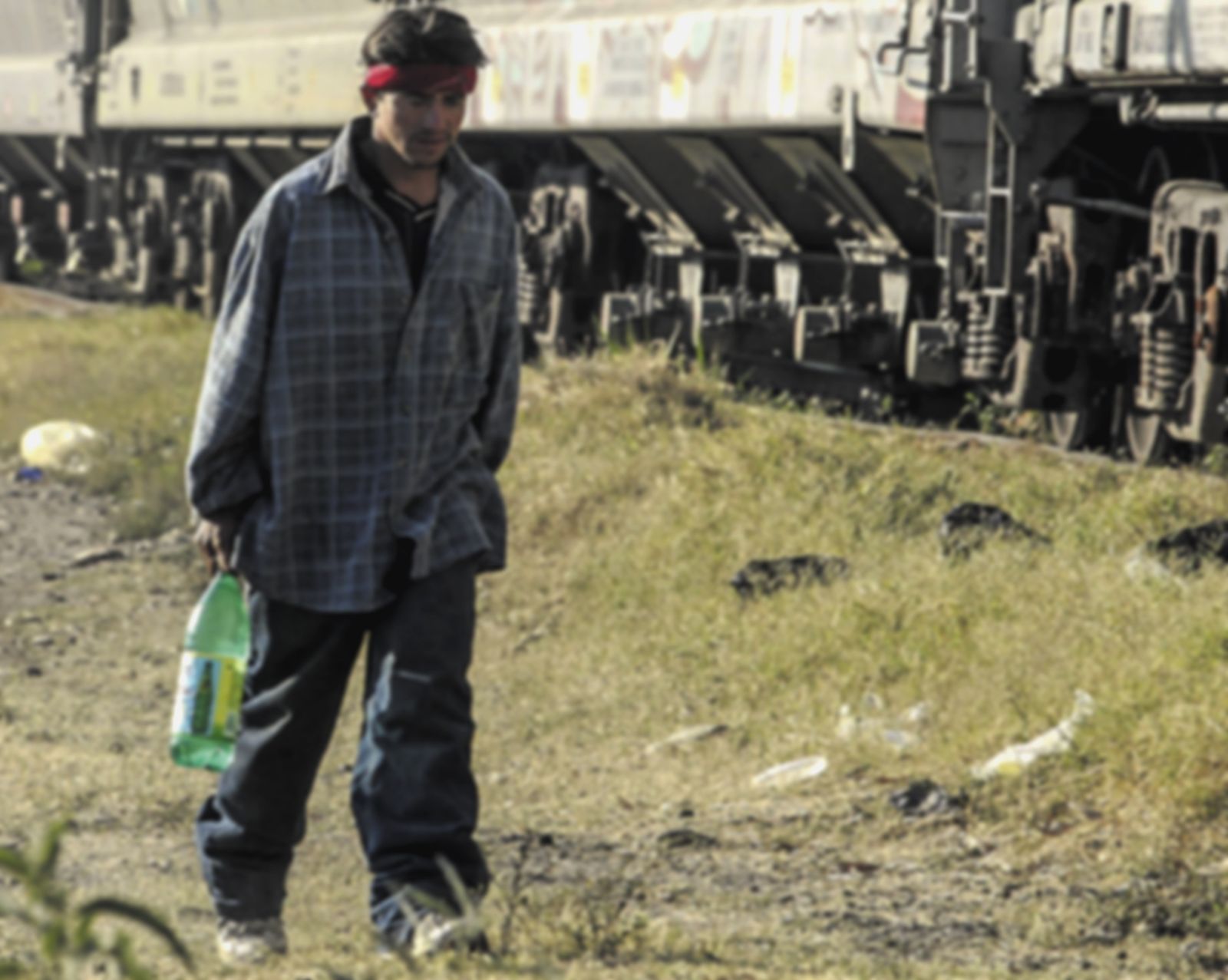 Lo ves en todas partes