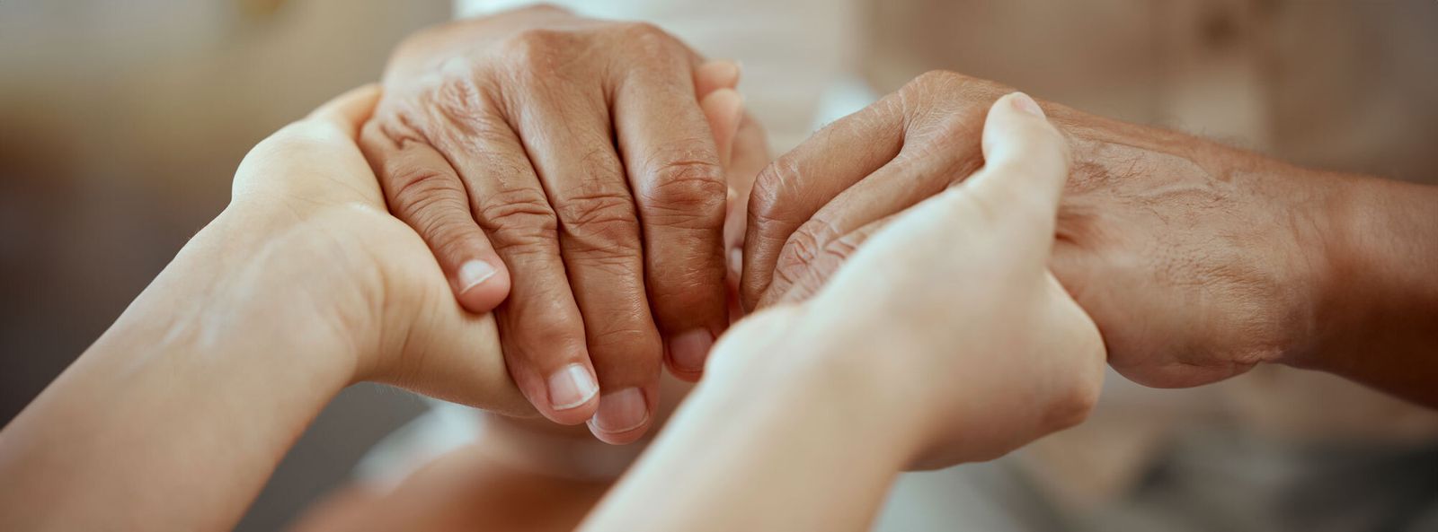 Testamento solidario