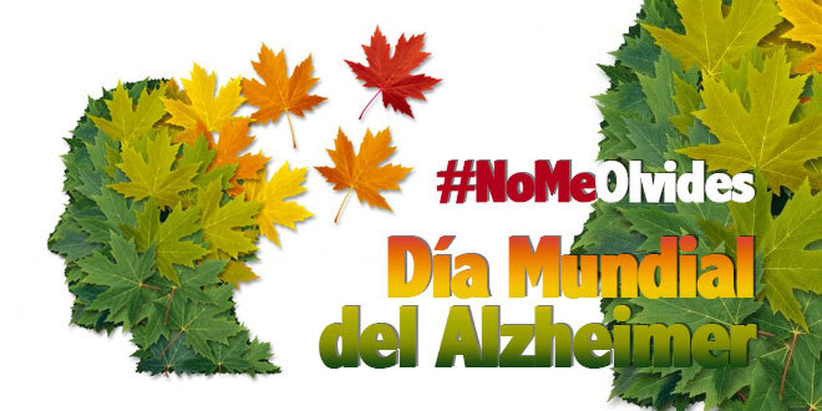 'Somos su memoria, no les olvidemos'. LARES, ante el Día del Alzheimer