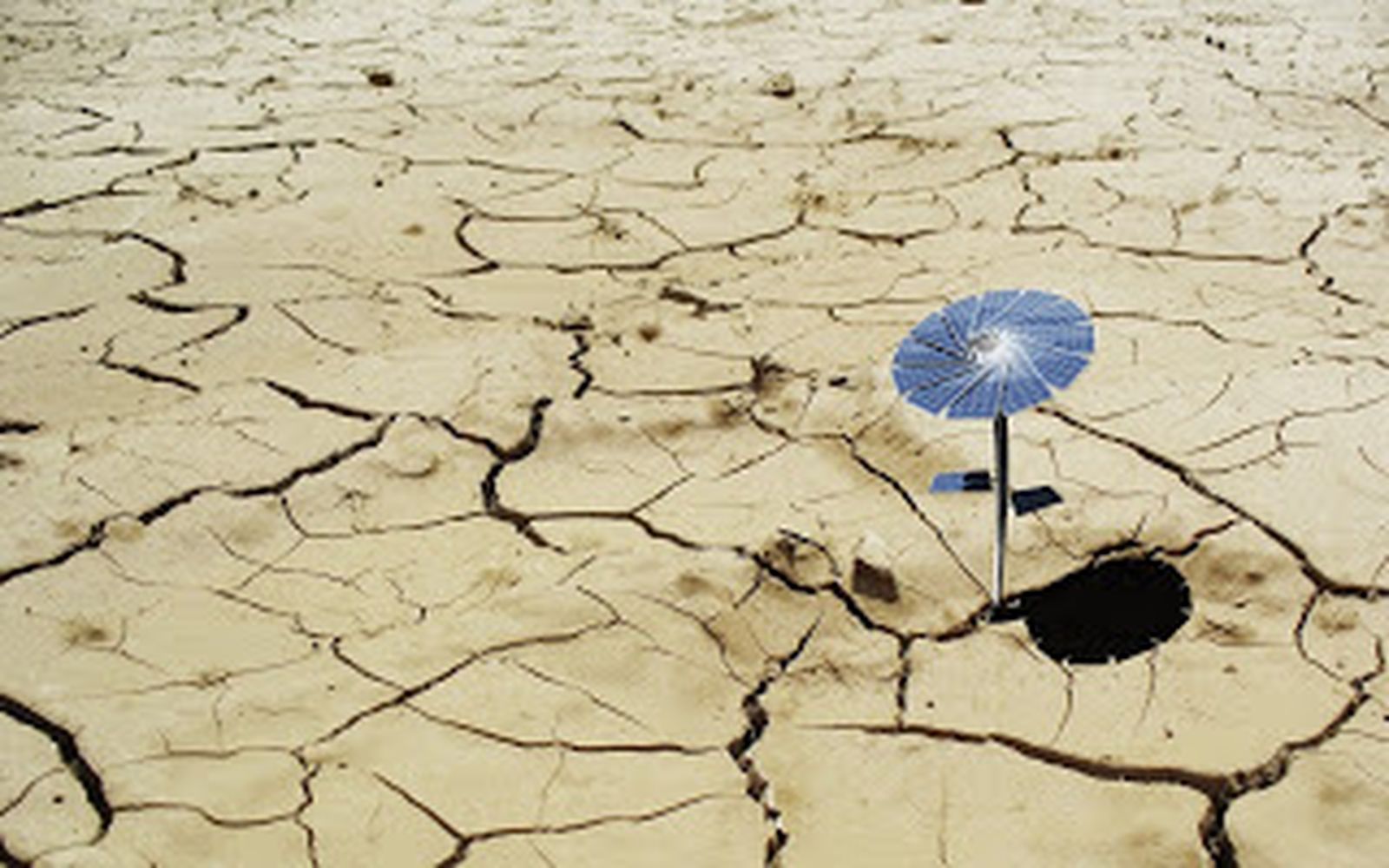 Pandemia de esperanza