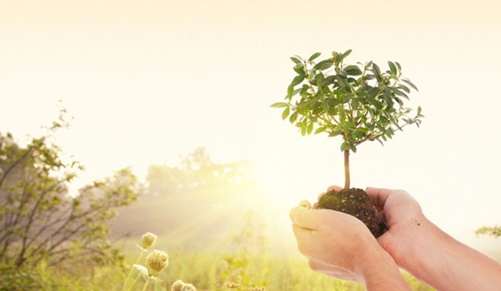 José Antonio Pagola: Ante un año nuevo