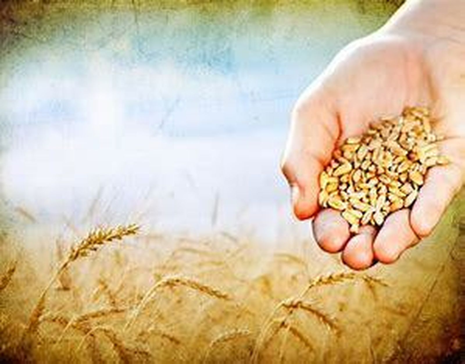 La esperanza: una luz que transfigura los caminos.