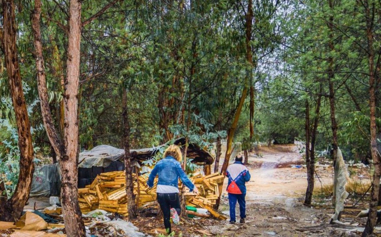 Huelva. Recogiendo la fruta