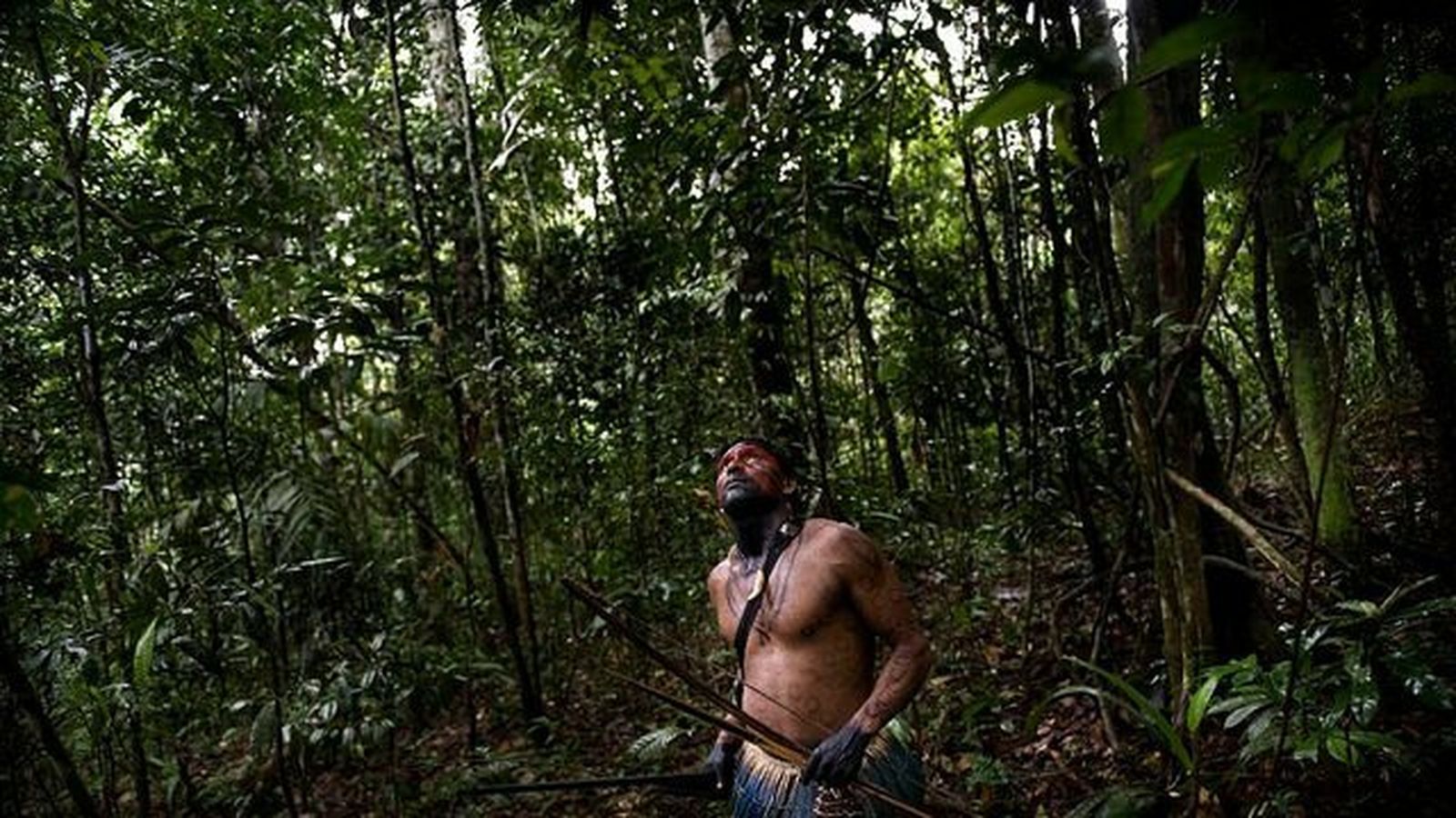 Sínodo de la Amazonía