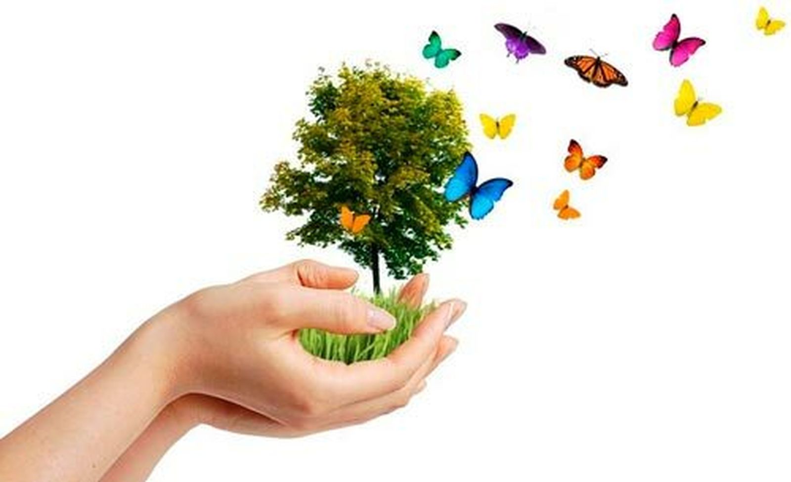 Investigación en desarrollo