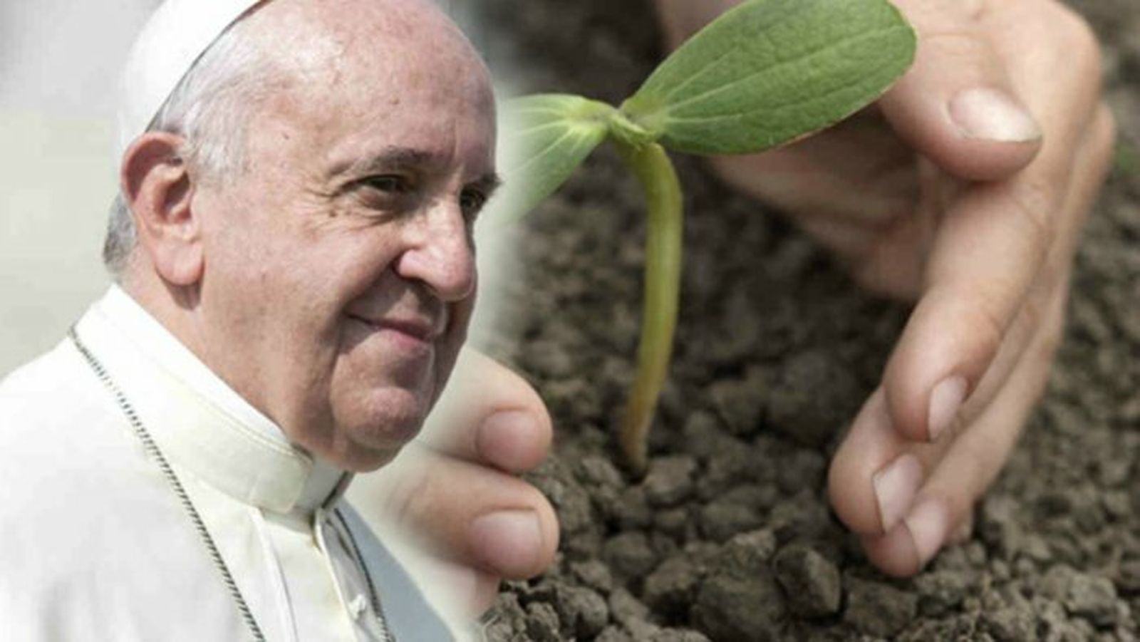 Francisco, el Papa del medio ambiente