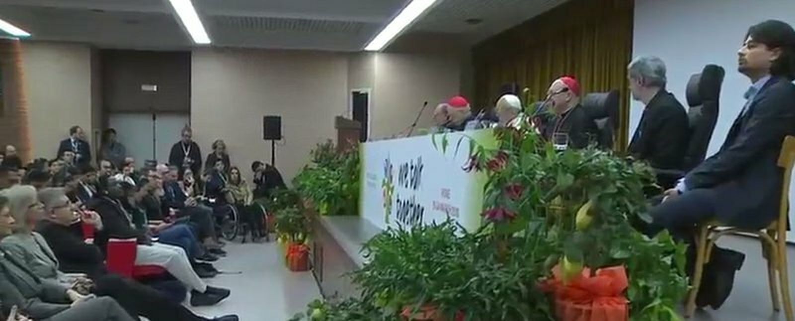 Jóvenes en el presínodo