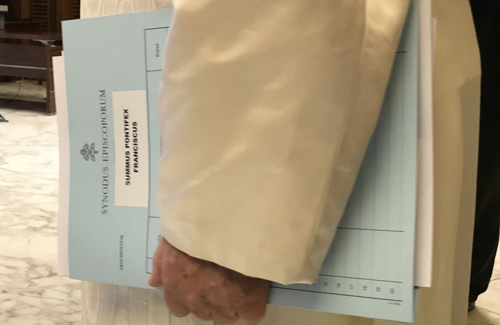 El Papa y el Sínodo