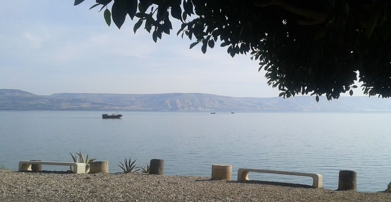 9 de Febrero, V Domingo del TO