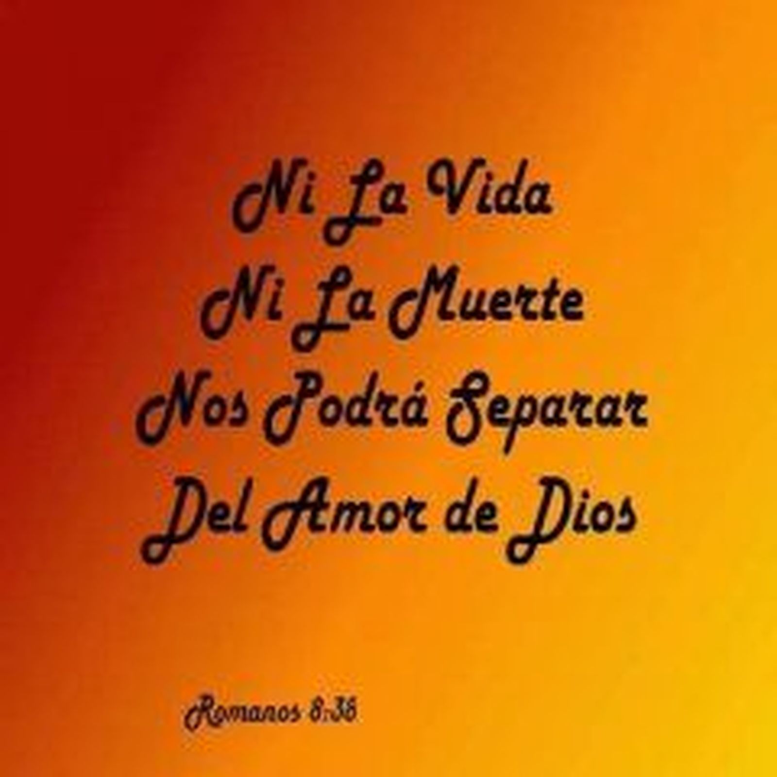 6ee42dc0518b884cb41125c9c61a0210