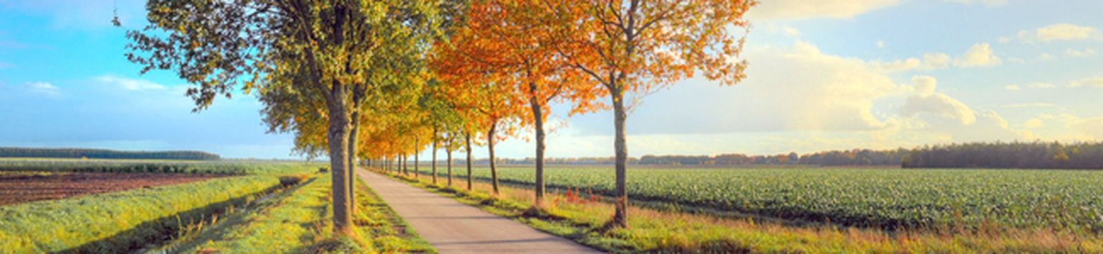 cuarteto-op64-2-haydn