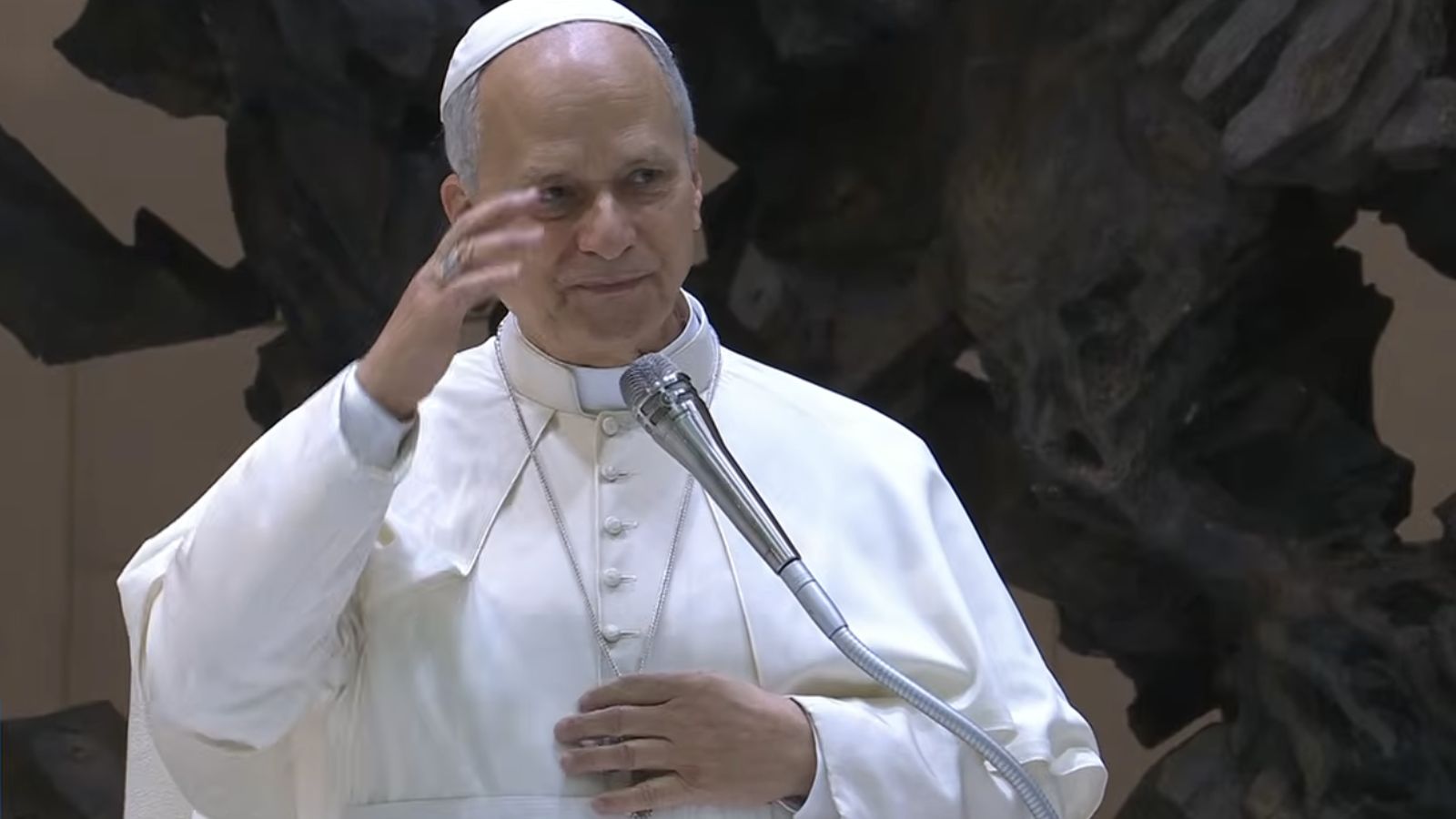 El Papa, al inicio de la audiencia