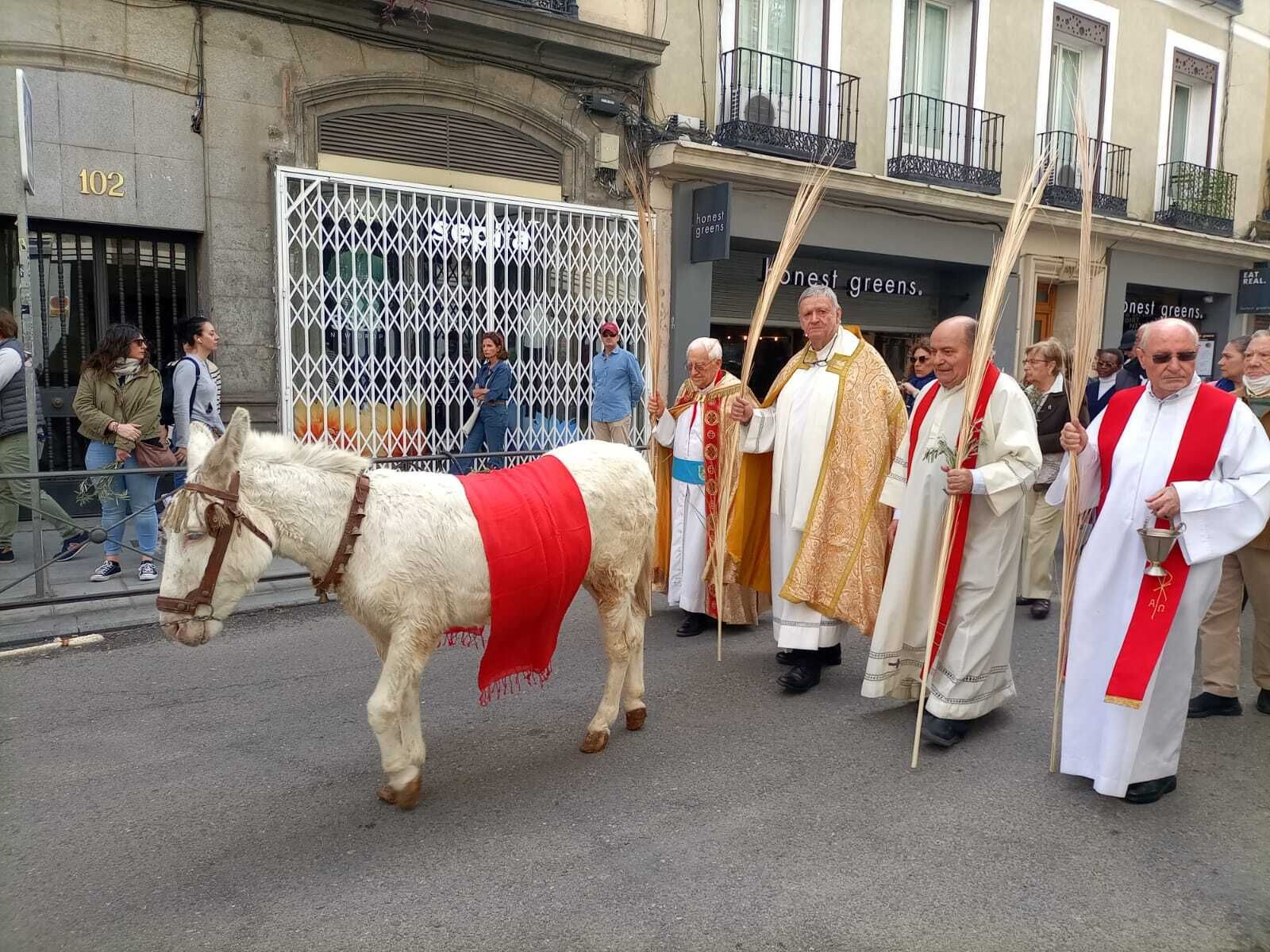 La 'Borriquita' (real) recorre las calles del centro de Madrid en la Semana Santa de San Antón