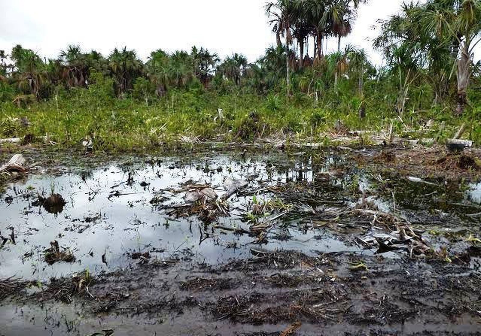 Derrame de petróleo en la Amazonía