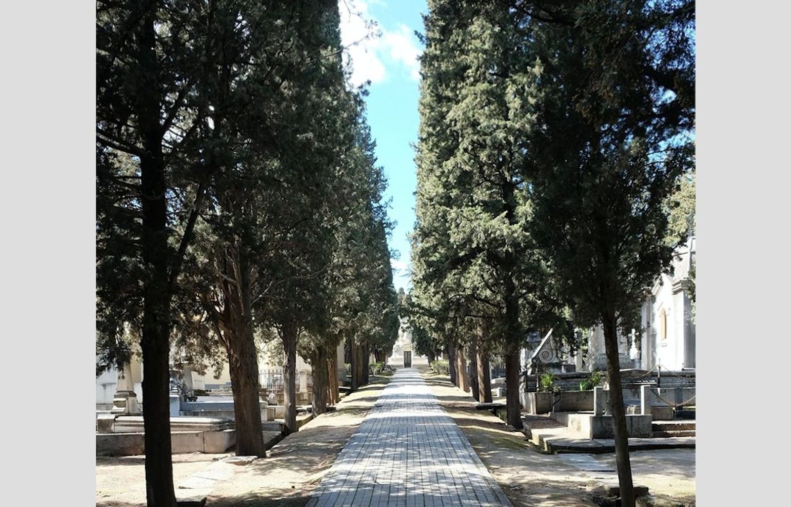 Cementerio de San Isidro