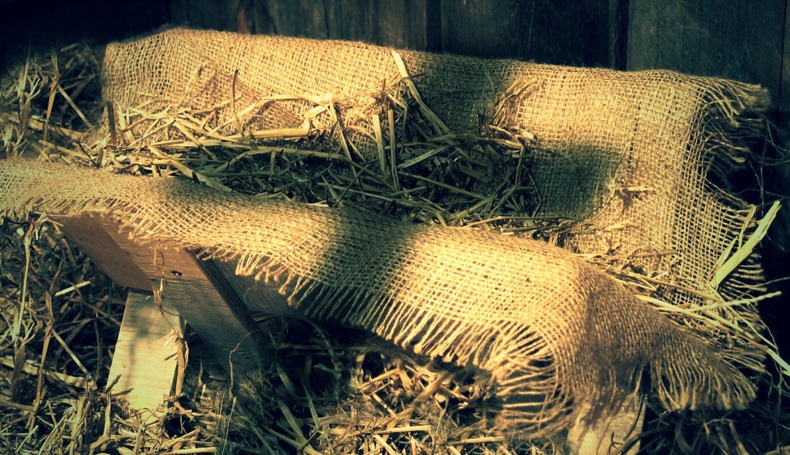 Se está perdiendo el más bello símbolo