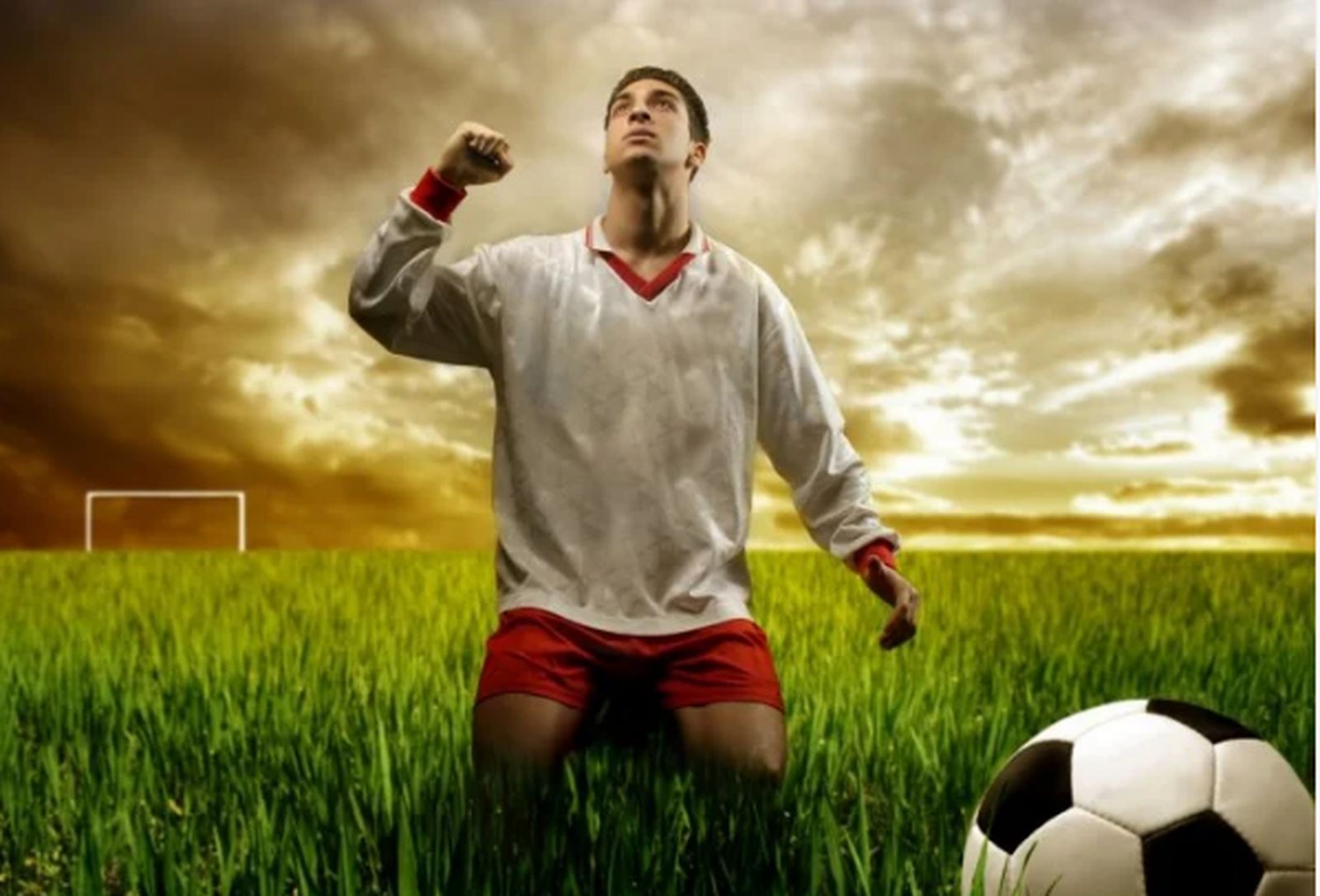 Futbol: entre la razón y la pasión