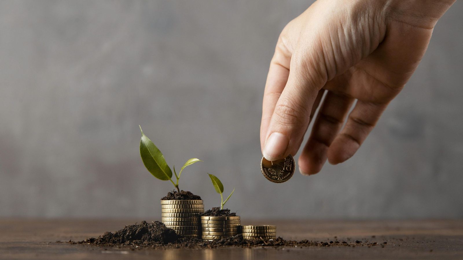 Promover las finanzas éticas