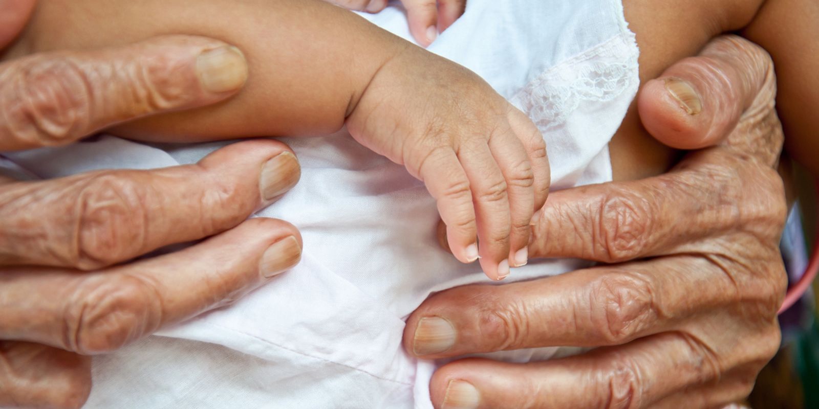 "Los ancianos, tesoro de la Iglesia y de la sociedad"