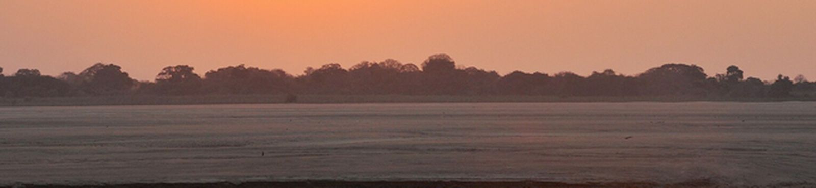 bach-cantata-bwv1143