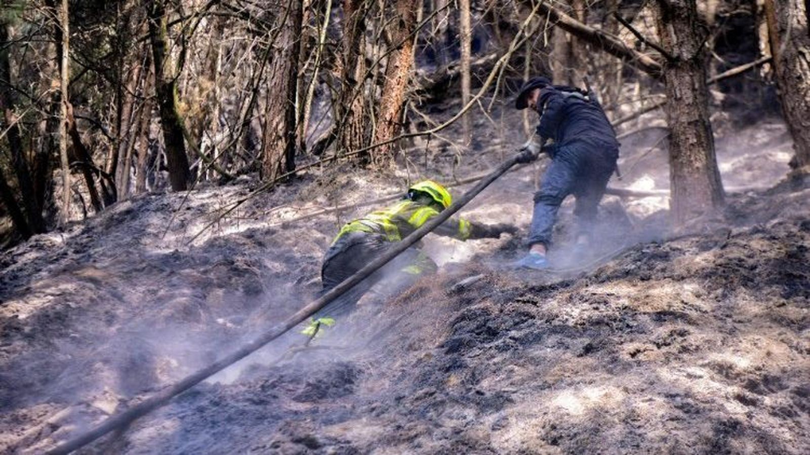 Incendios en Colombia