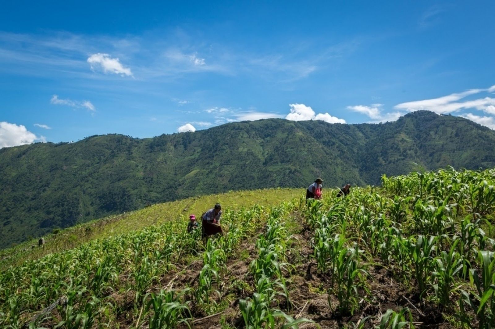 Manos Unidas, en el Día Mundial del Medio Ambiente