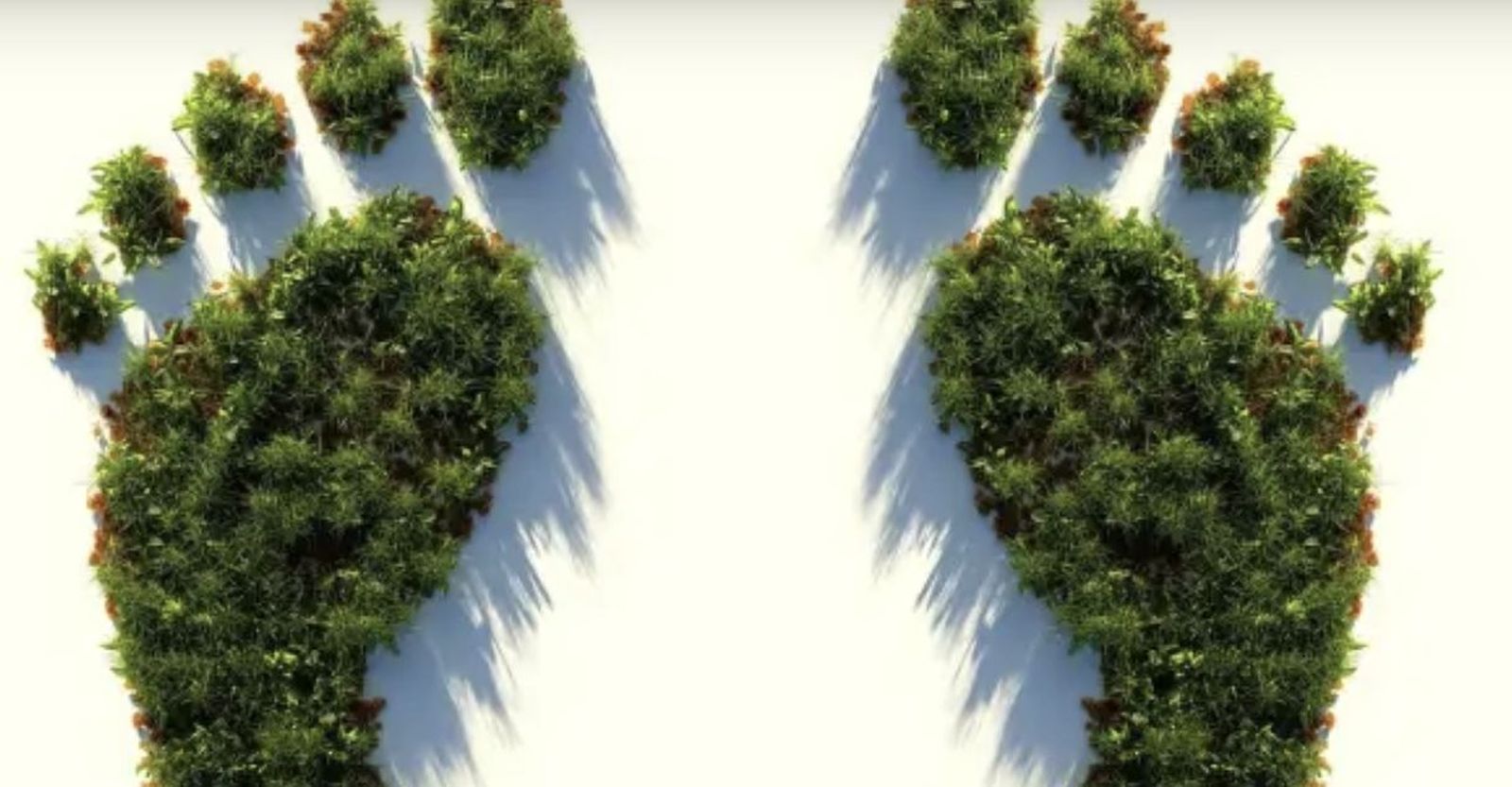 La JMJ de Lisboa tendrá una calculadora de la huella de carbono