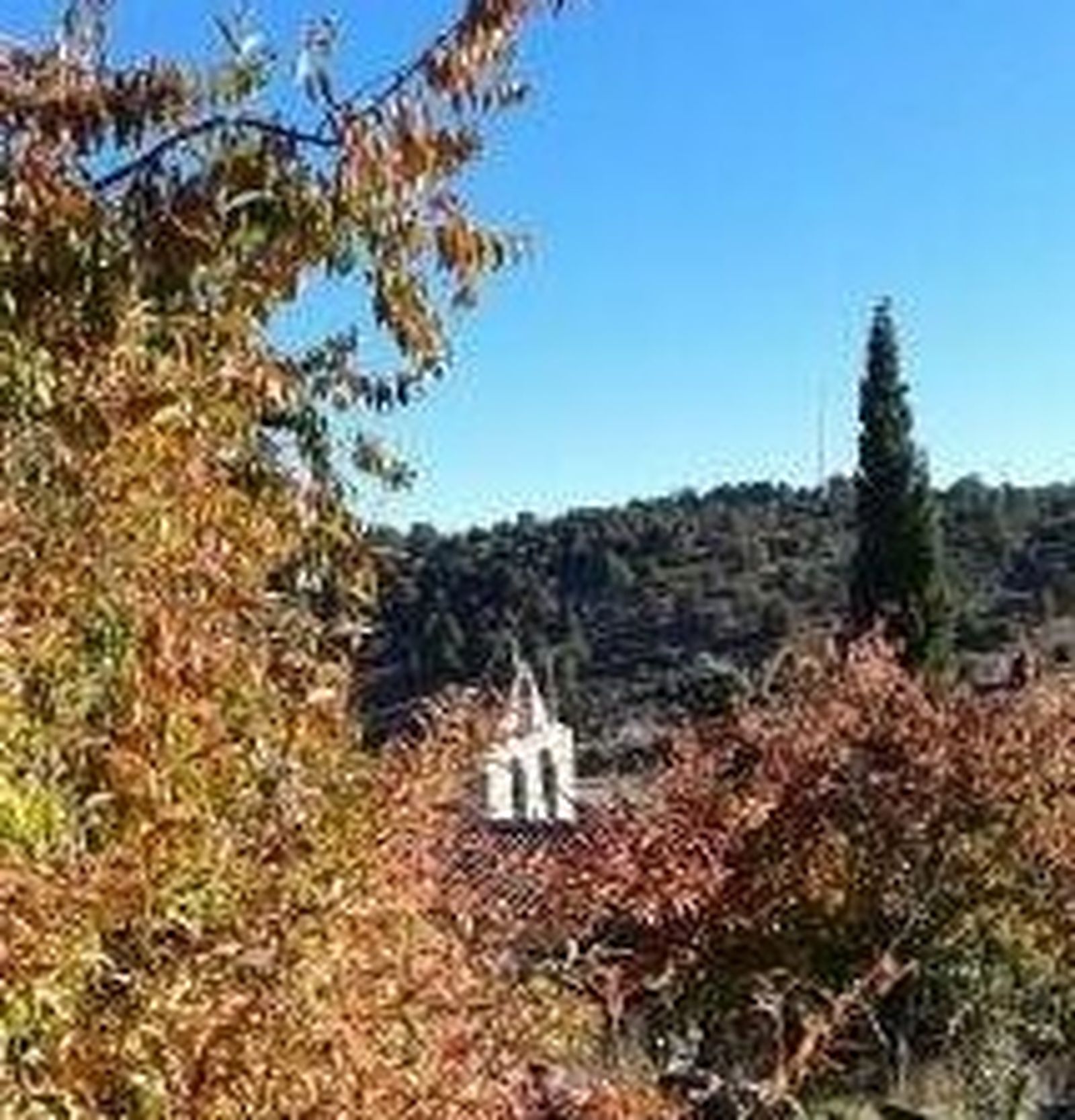 19 de Octubre: XXIX Domingo del Tiempo Ordinario