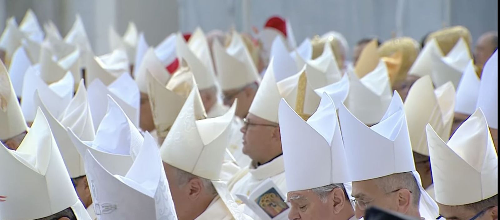 Obispos en el Sínodo