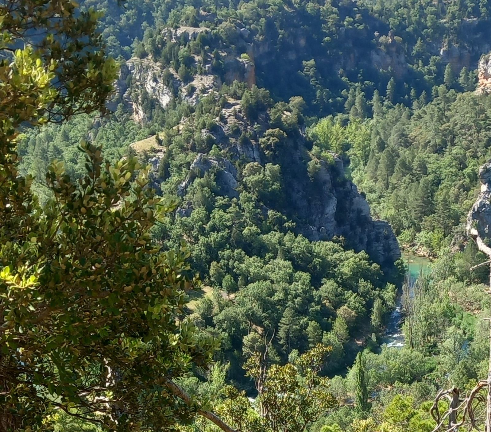 Rinconada