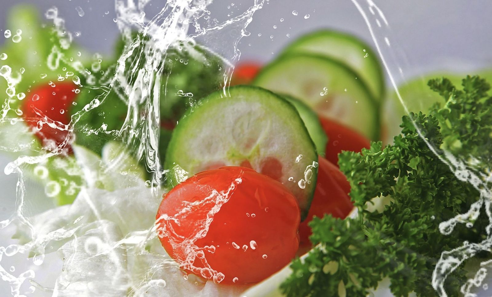 ¿Deben ser vegetarianos los cristianos?