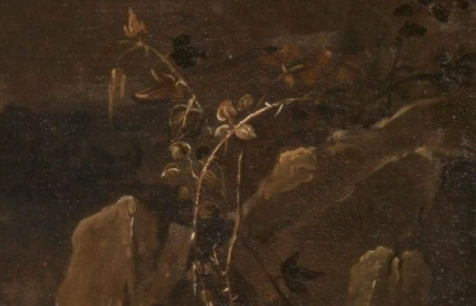 Detalle del espino en el ángulo inferior derecho de la Epifanía velazqueña