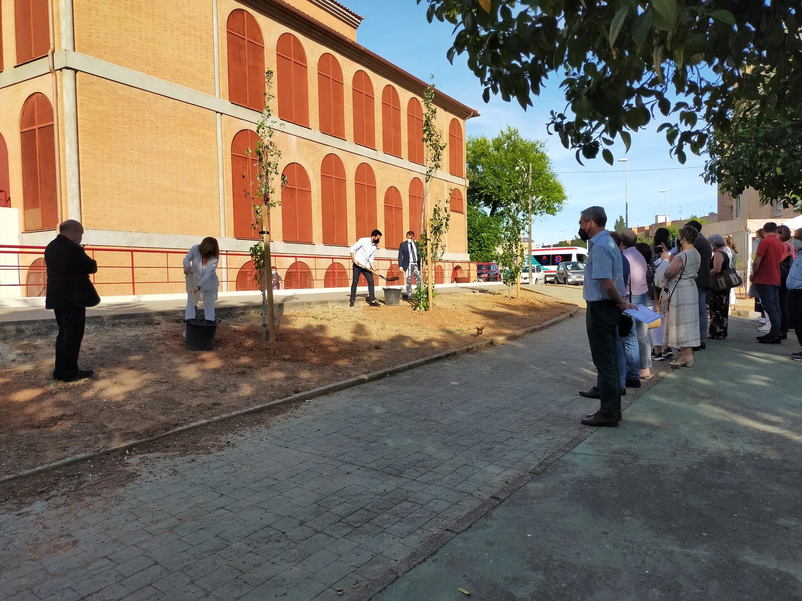 Plantación de los álamos en la Parroquia de la Aurora en Córdoba