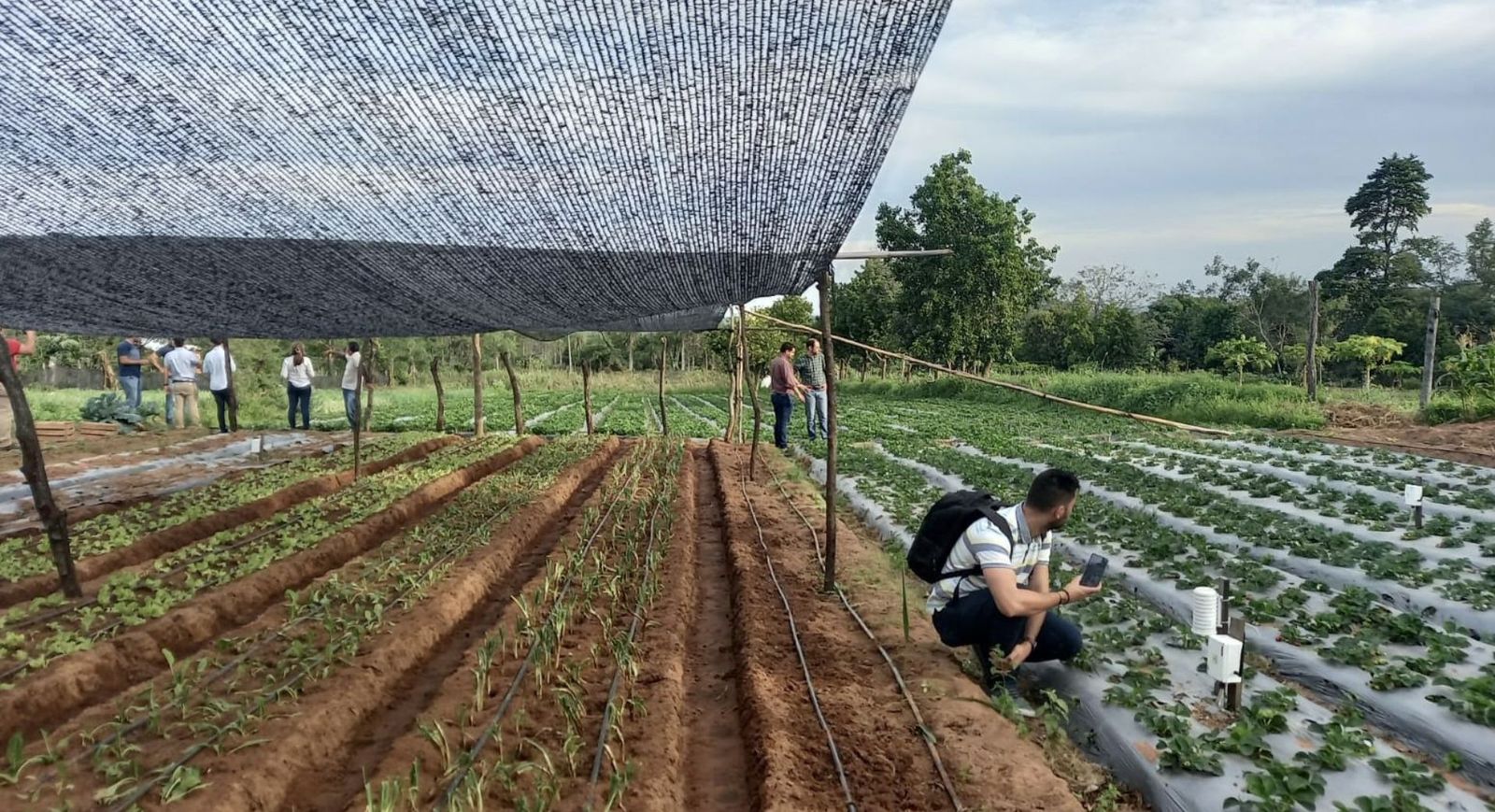 Proyecto de la Universidad Loyola
