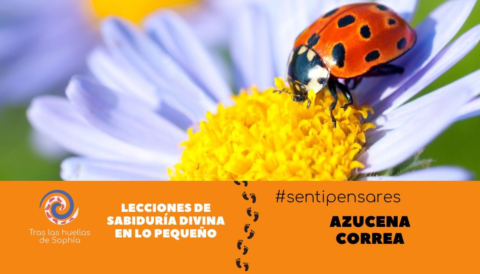 Lecciones de sabiduría divina en lo pequeño