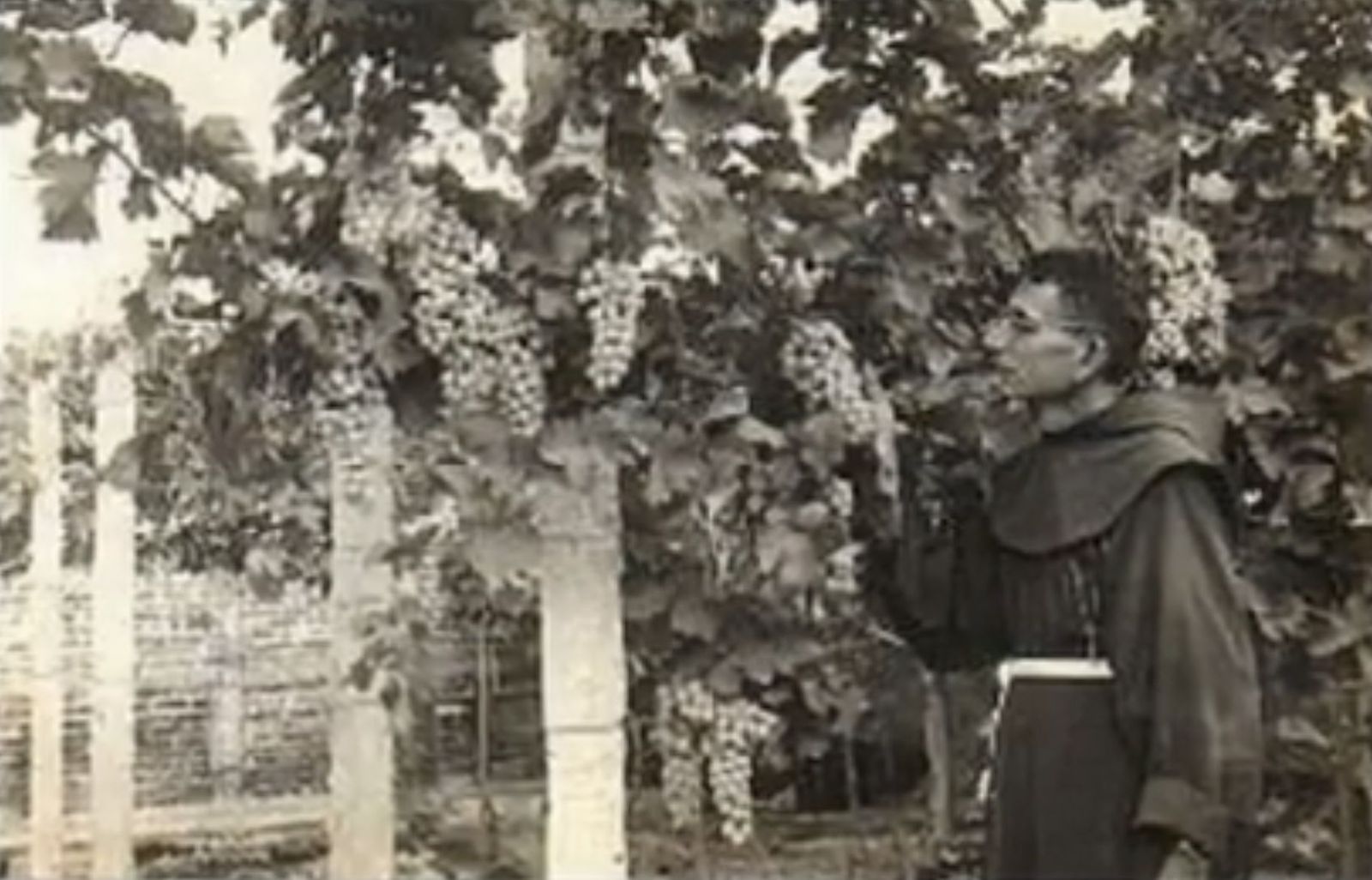 Padre Cosme Spessotto