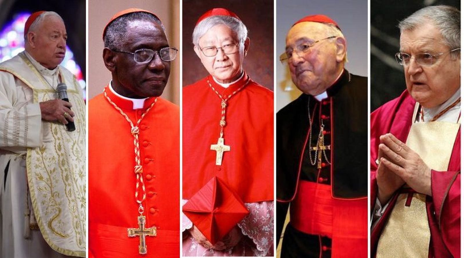 Los cinco cardenales de las nuevas 'dubia' contra el Papa